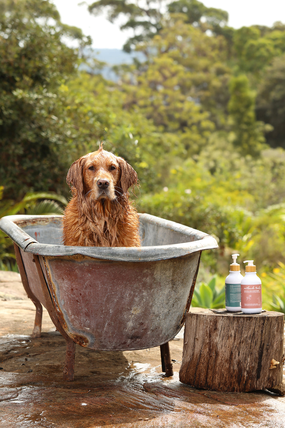 Natural Dog Conditioner