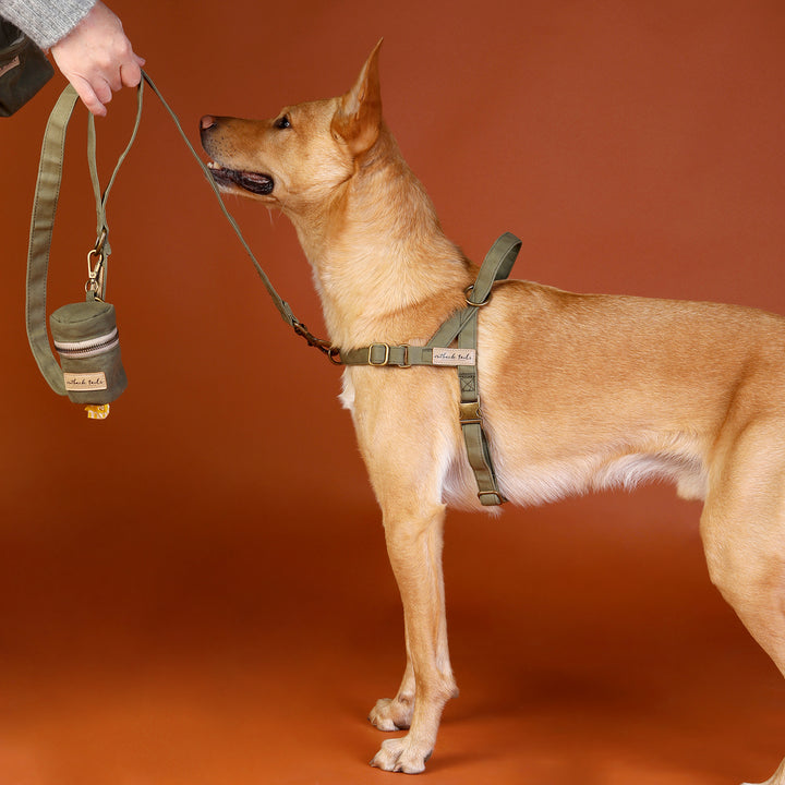 Waxed Canvas Dog Lead - Green