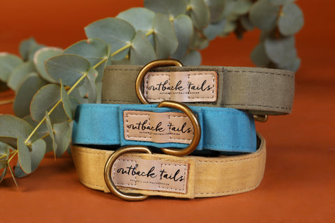 Waxed Canvas Dog Collar