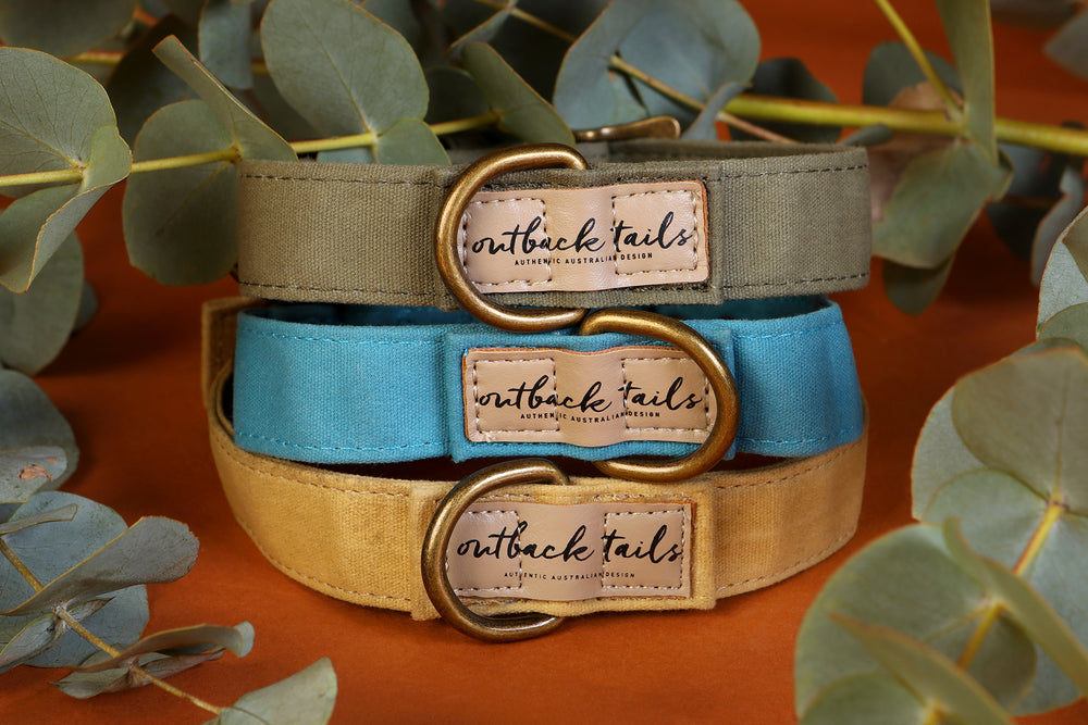 Waxed Canvas Dog Collar - Blue