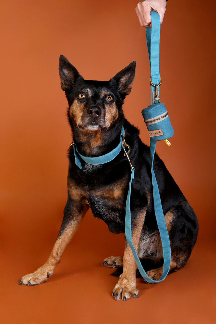 Waxed Canvas Dog Lead - Blue