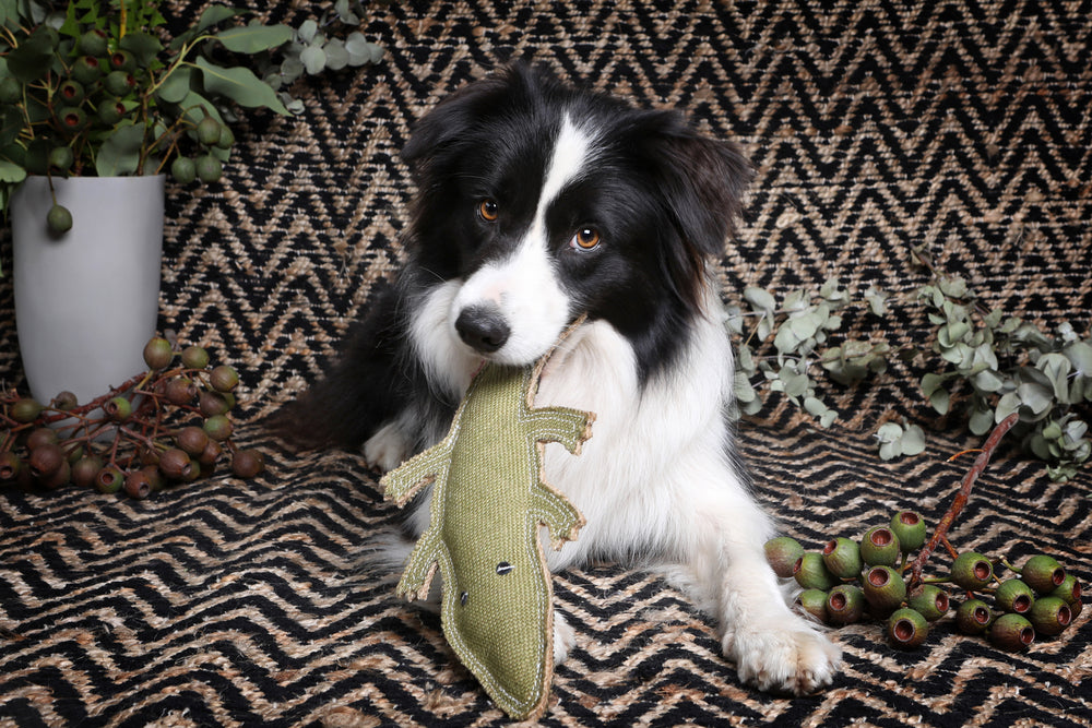 Outback Tails Corey The Croc Jute Chew Toy