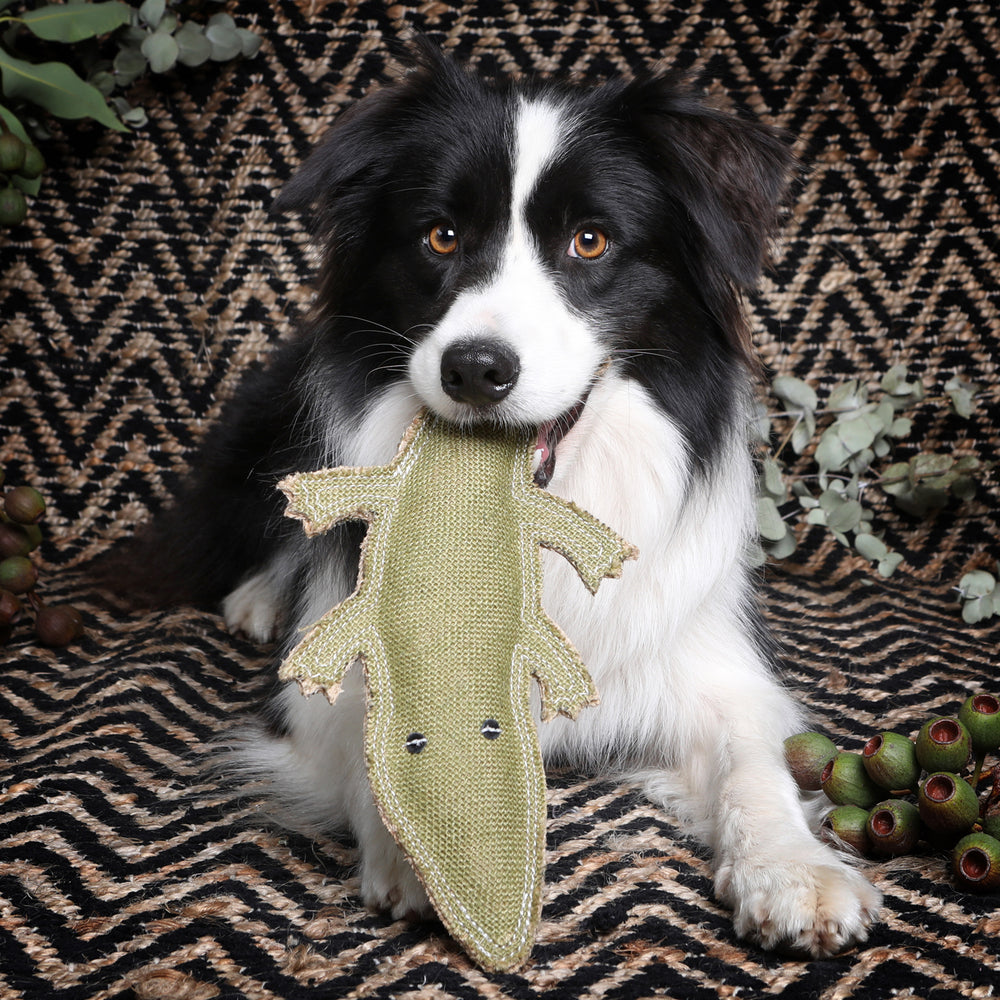 Outback Tails Corey The Croc Jute Chew Toy