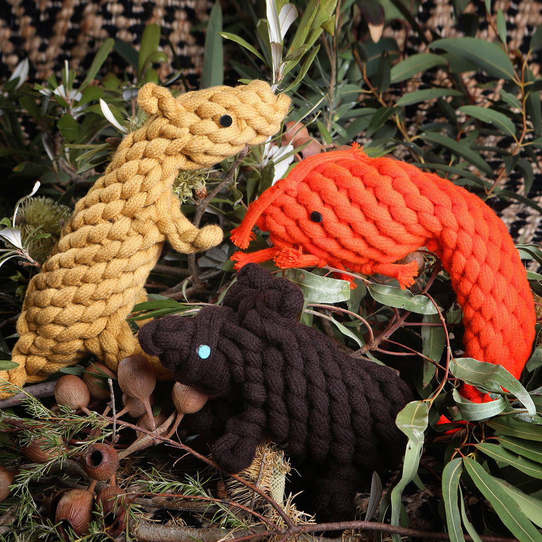 Wool Dog Toy