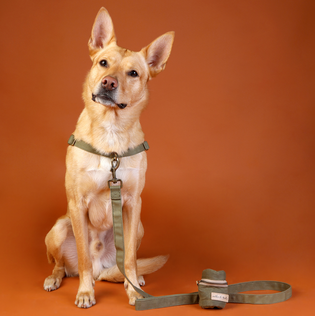 Waxed Canvas Dog Lead - Green