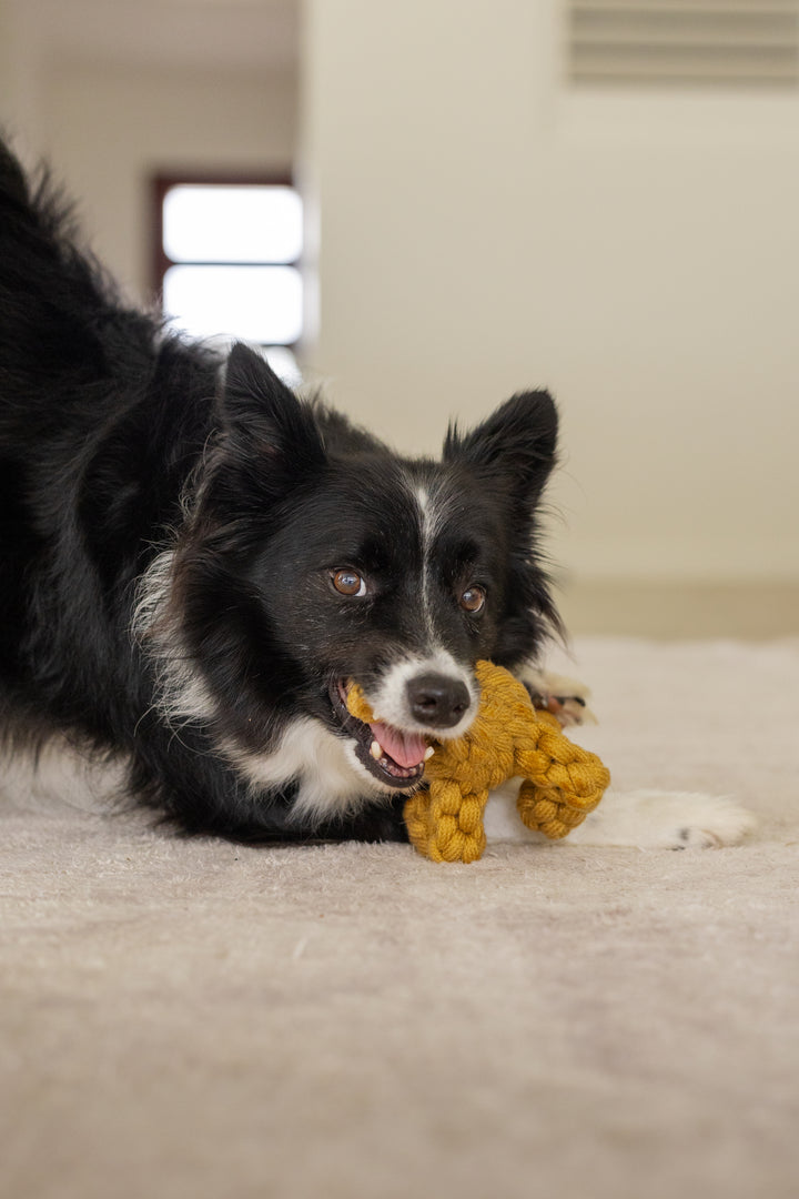 Outback Animal Toy - Kezza The Kangaroo
