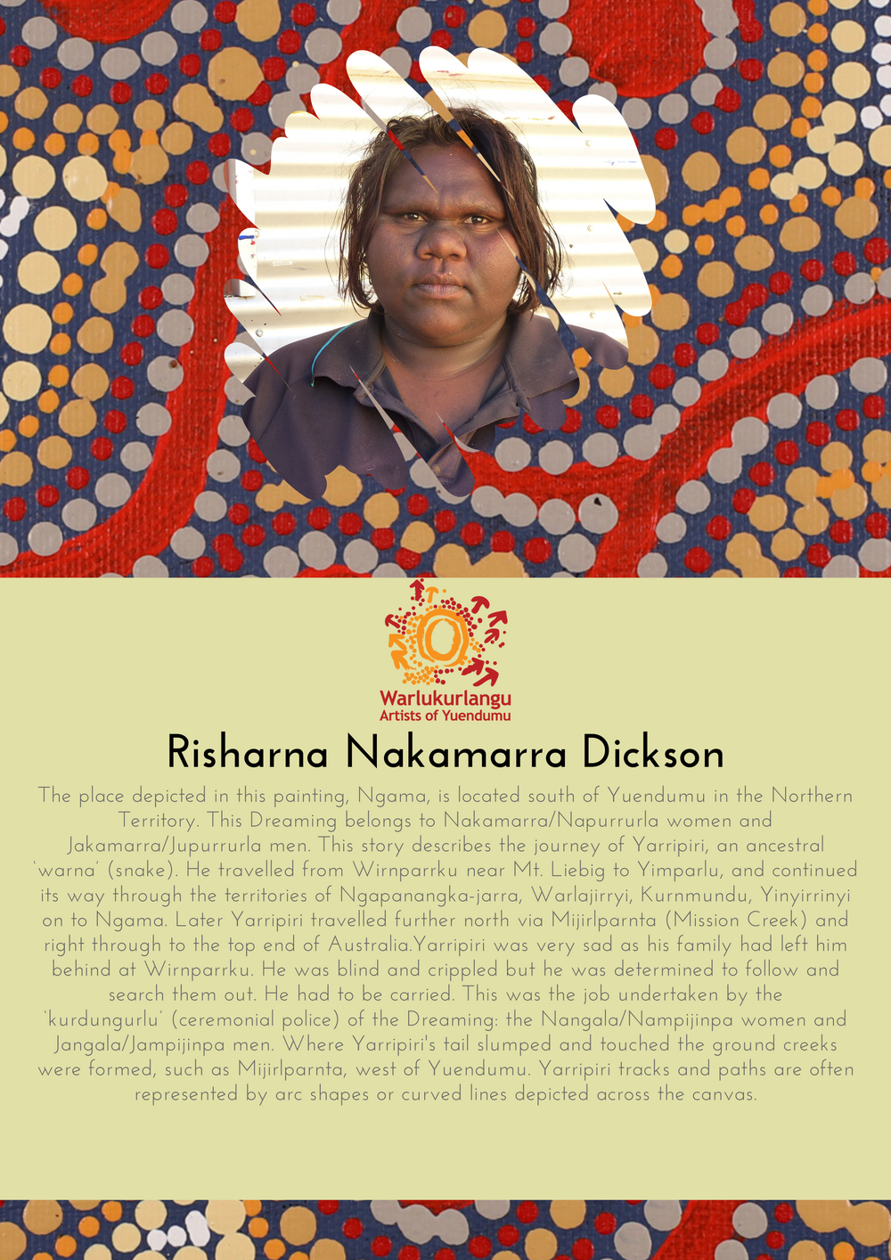 Dog Bed Cover - Snake Dreaming