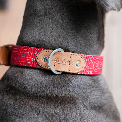 Leather Dog Collar - Water Dreaming