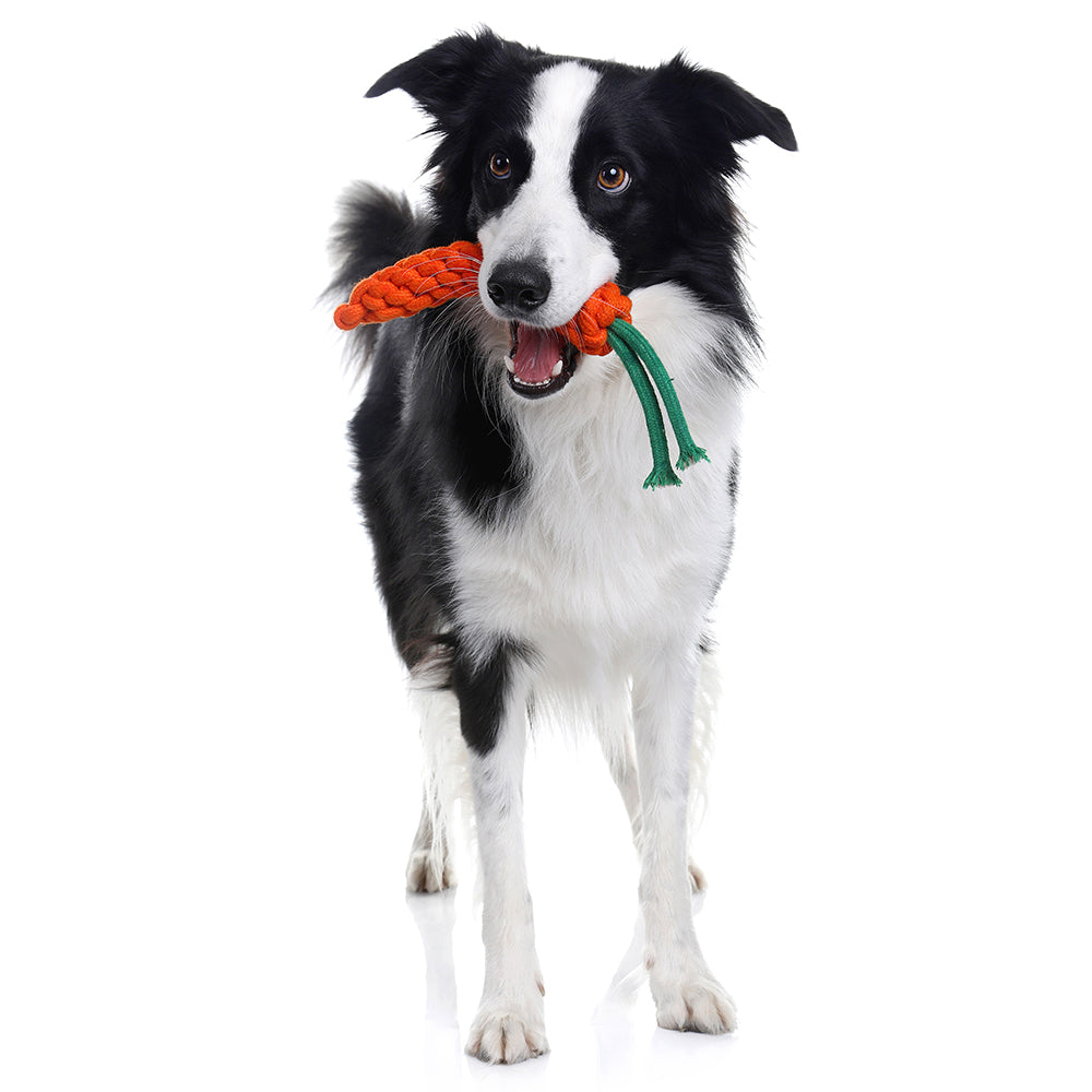 Country Tails Rope Toy - Carrot