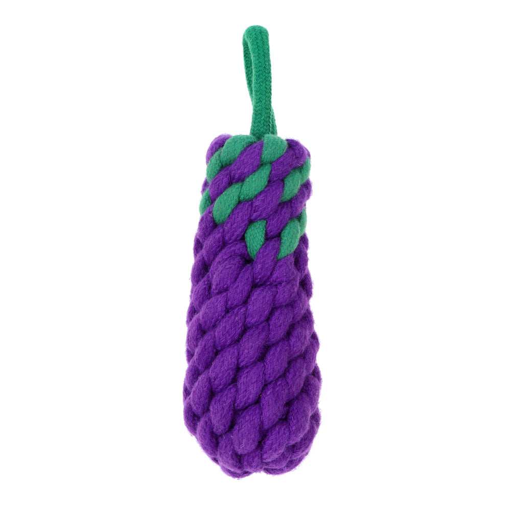 Country Tails Eggplant Rope Toy