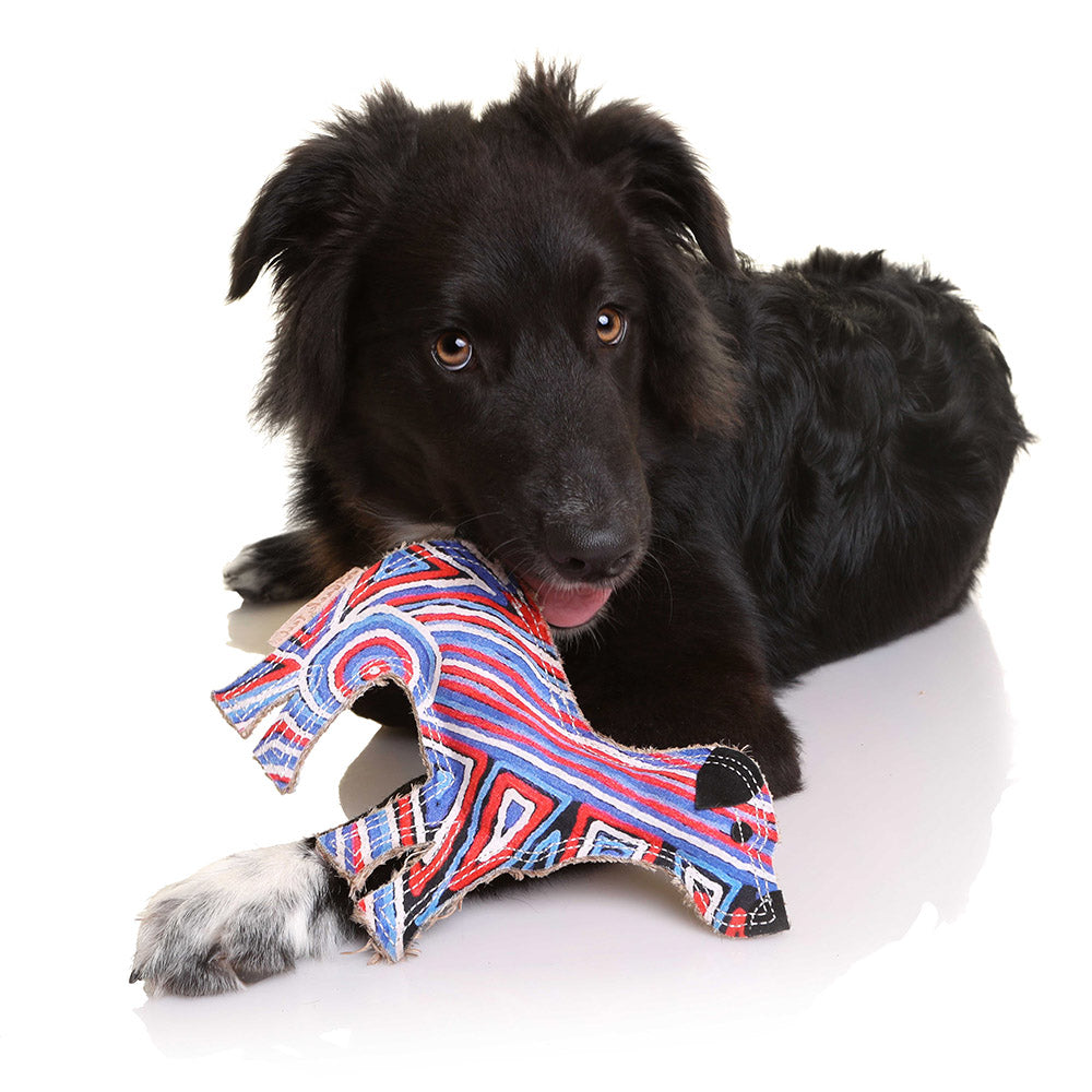 Desert Dog Chew Toy - Ben