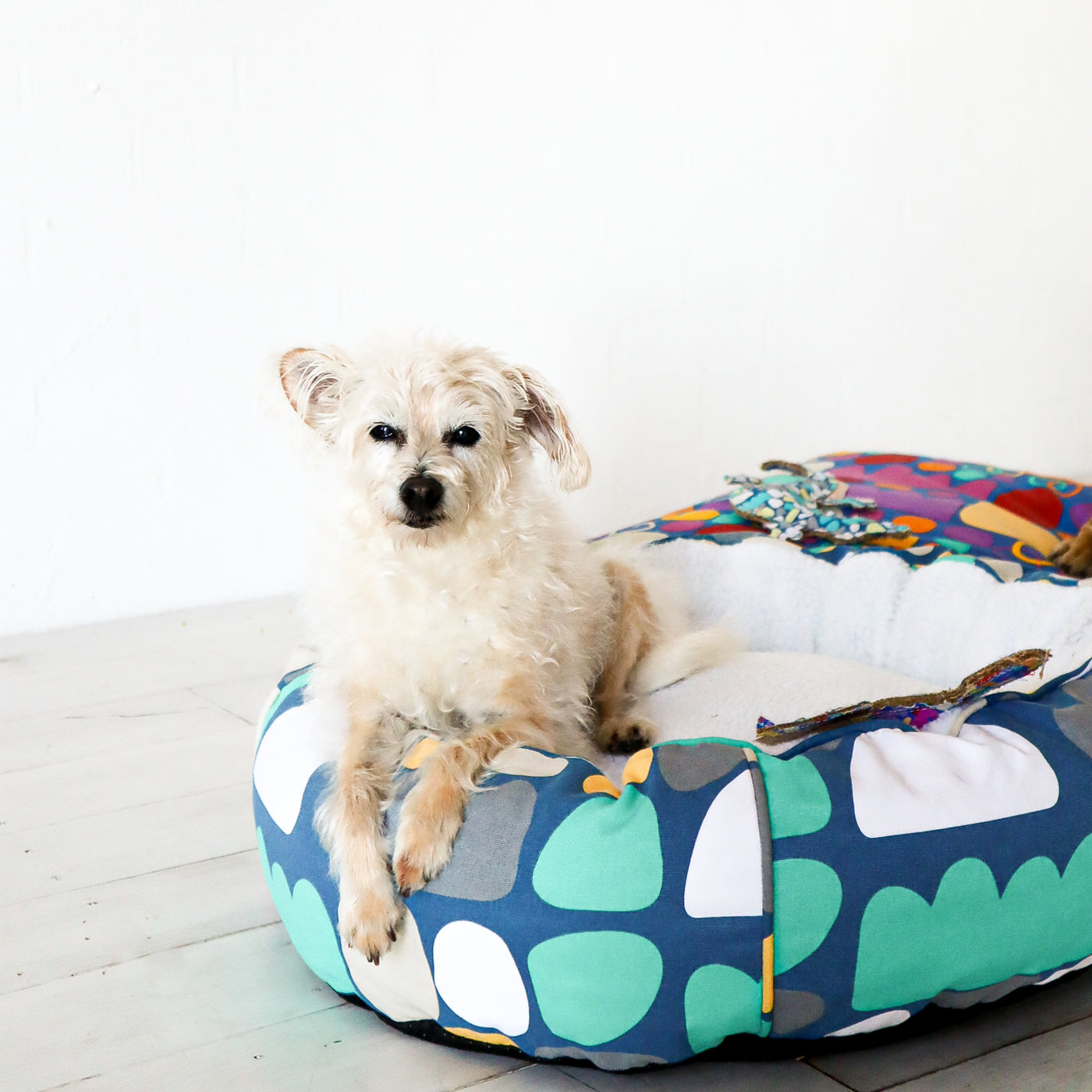 Fleecy Round Dog Bed - Puli Puli Blue