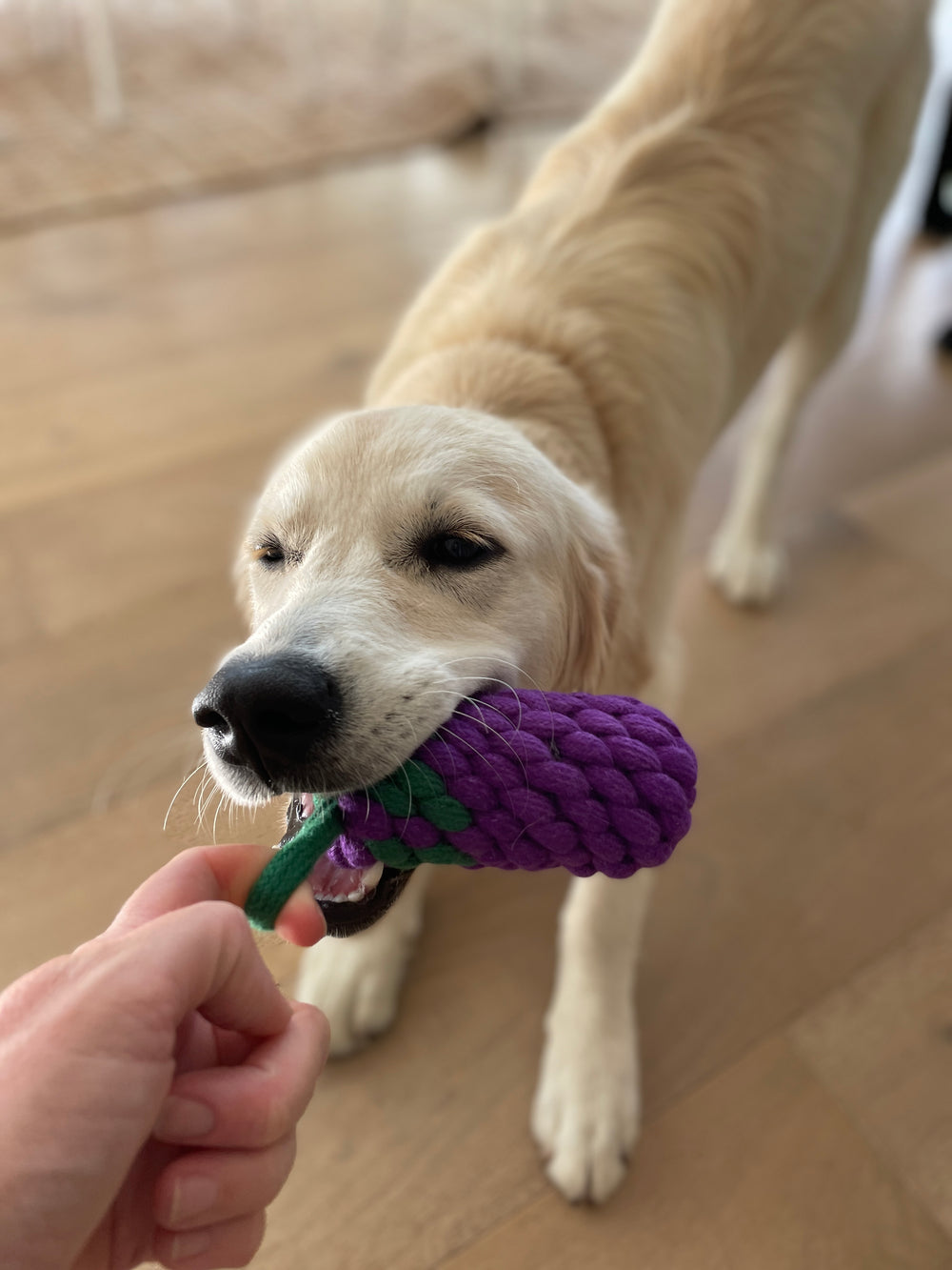 Country Tails Eggplant Rope Toy