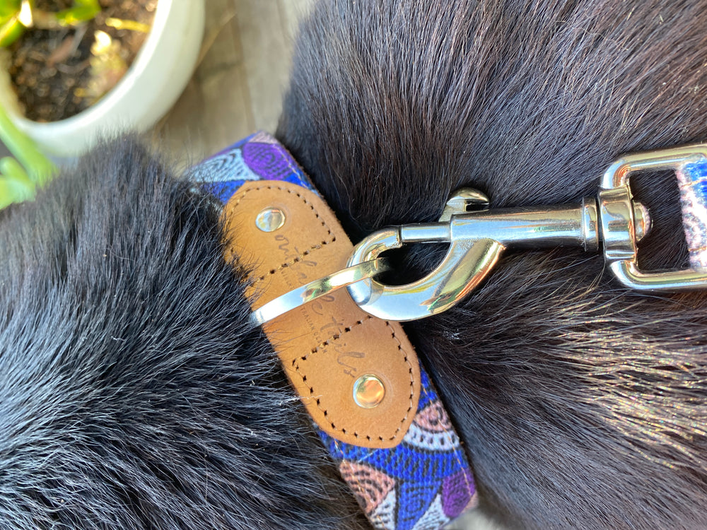 Leather Dog Collar - Salt Lakes