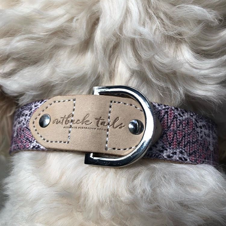 Leather Dog Collar - Vaughan Springs