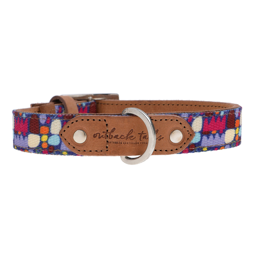 Leather Dog Collar - Puli Puli Colourful