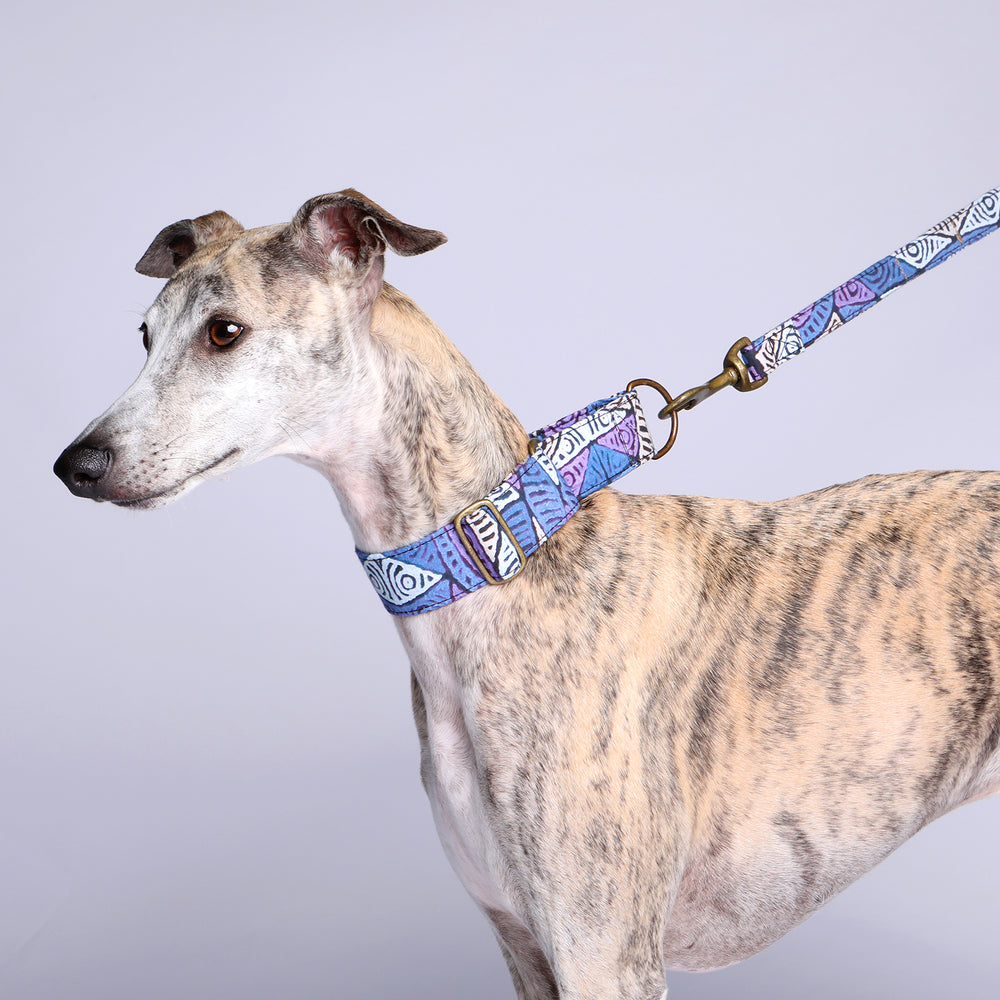 Martingale Collar - Salt Lakes