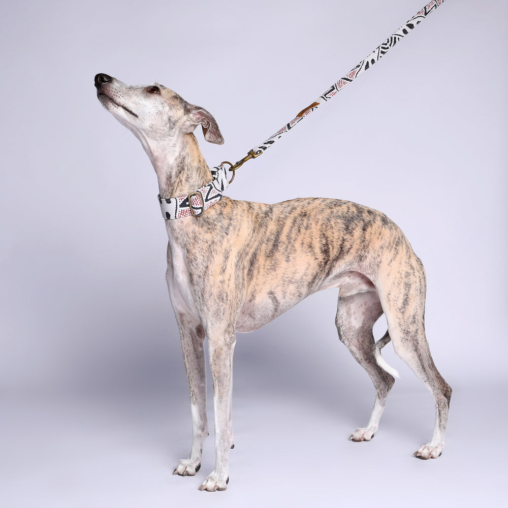 Vegan Canvas Dog Lead - Vaughan Springs