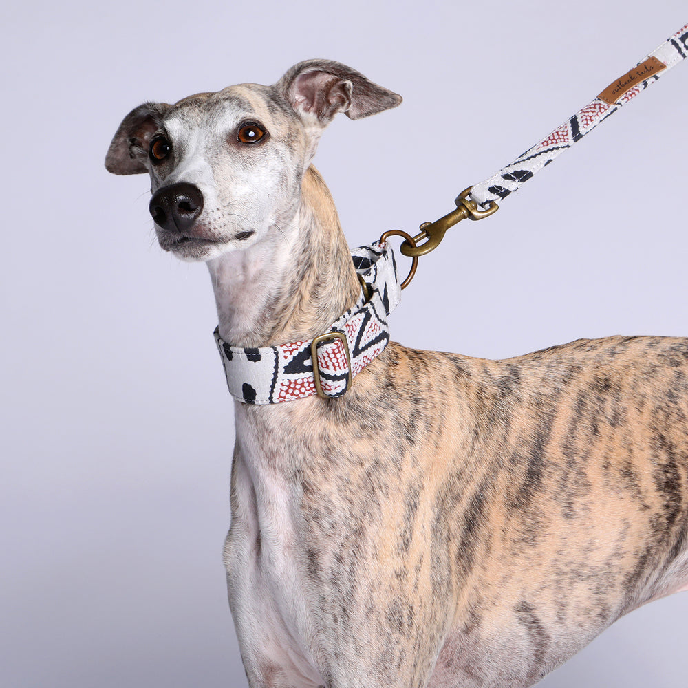Vegan Canvas Dog Lead - Vaughan Springs