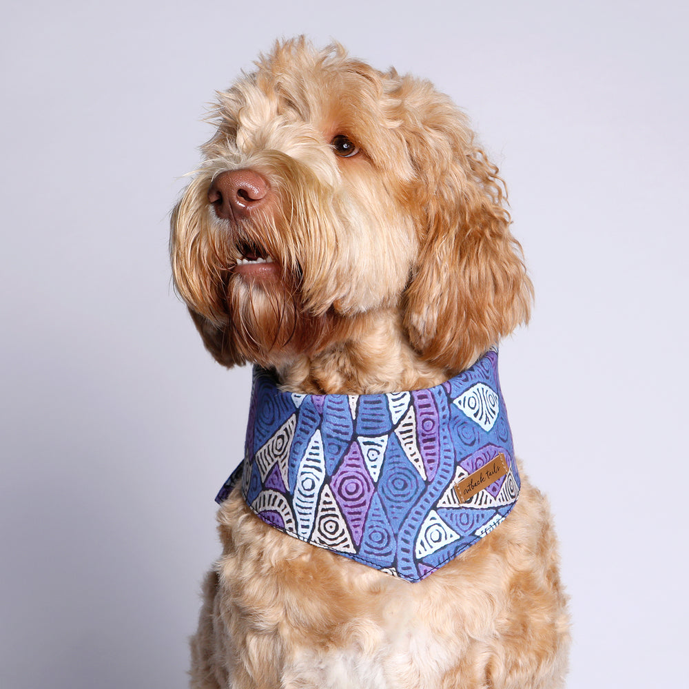 Dog Bandana - Salt Lakes