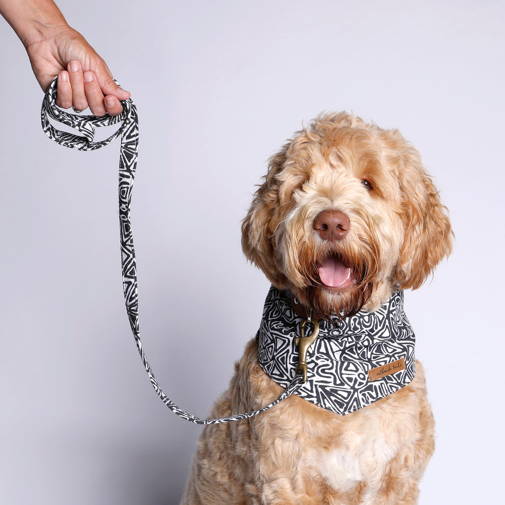 Vegan Canvas Dog Lead - Sand Dunes
