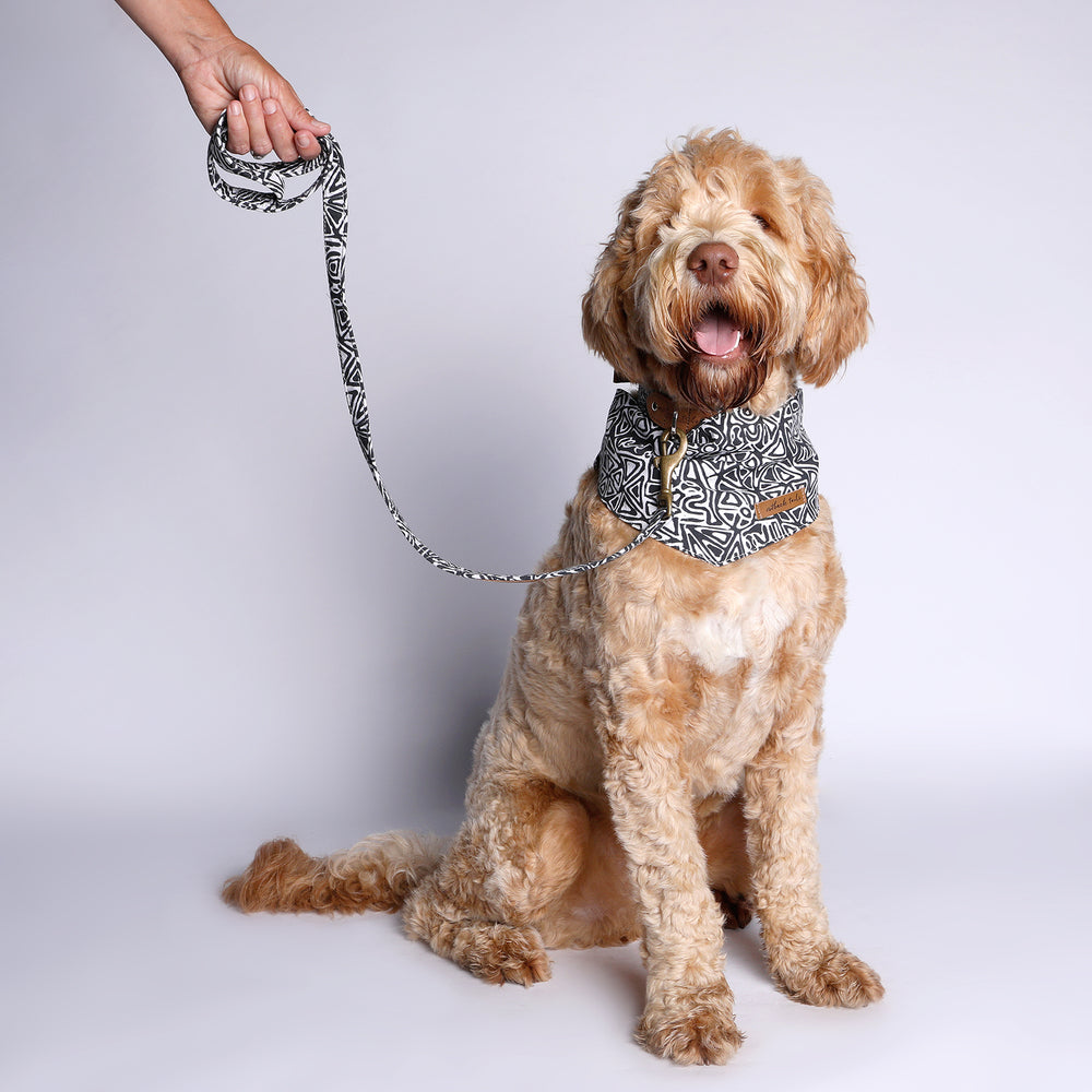 Vegan Canvas Dog Lead - Mina Mina