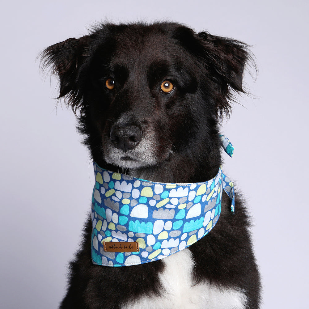 Dog Bandana - Puli Puli (Blue)
