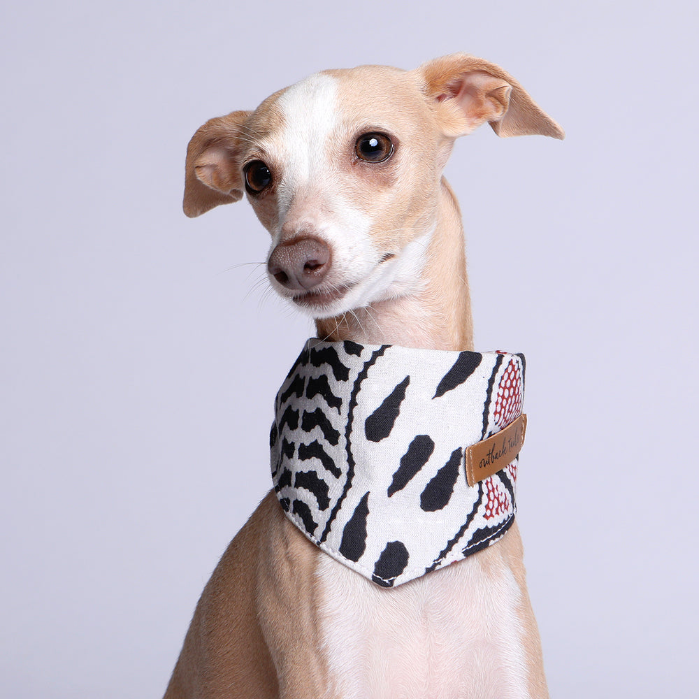 Dog Bandana - Vaughan Springs