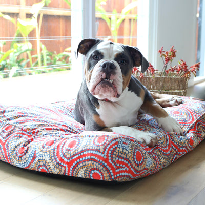 Rectangular Therapeutic Dog Bed - Snake Dreaming