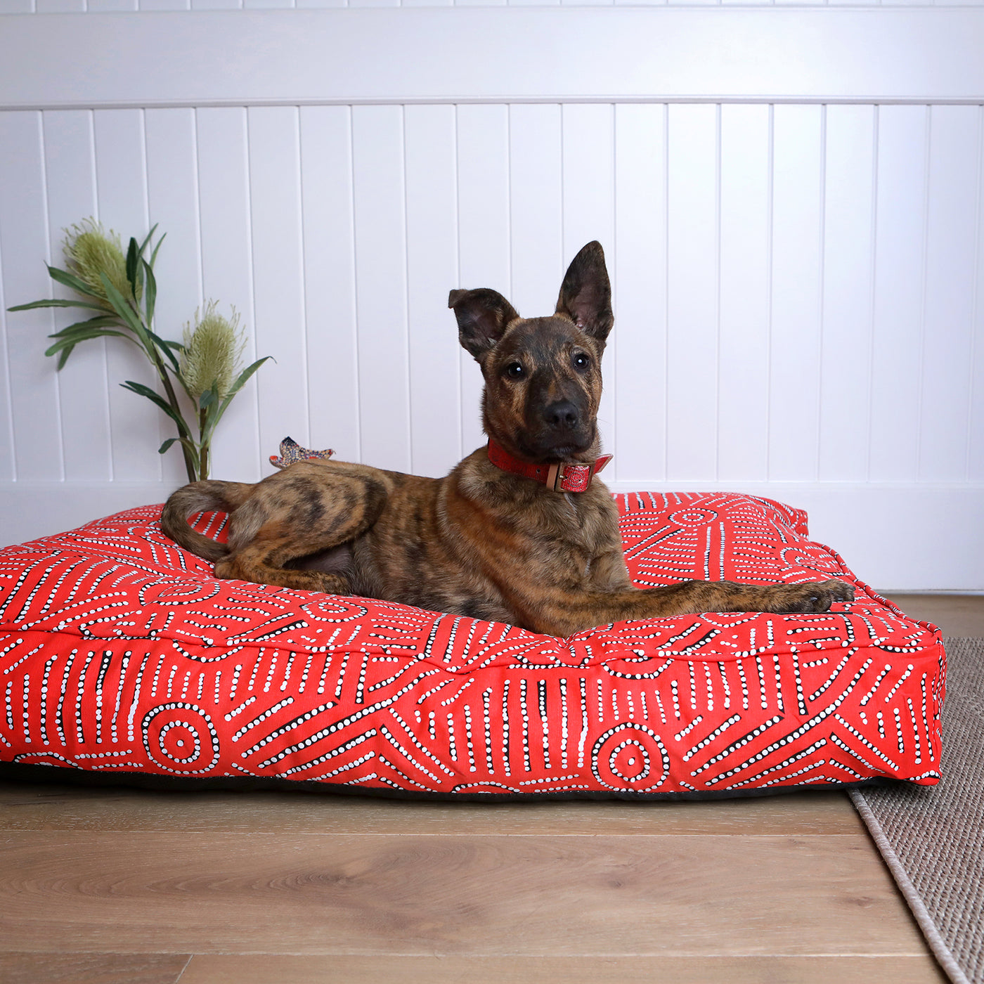Rectangular Therapeutic Dog Bed - Water Dreaming