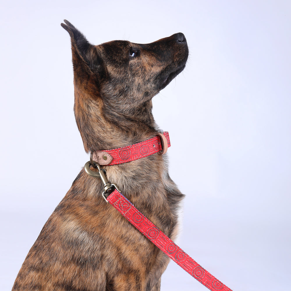 Leather Dog Collar - Water Dreaming