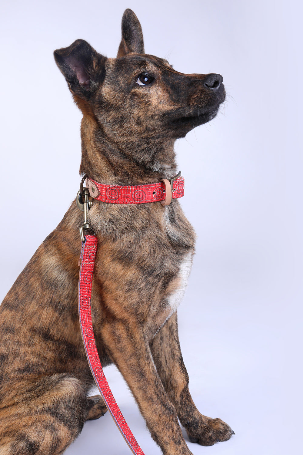 Leather Dog Lead - Water Dreaming