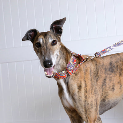 Martingale Collar - Snake Dreaming