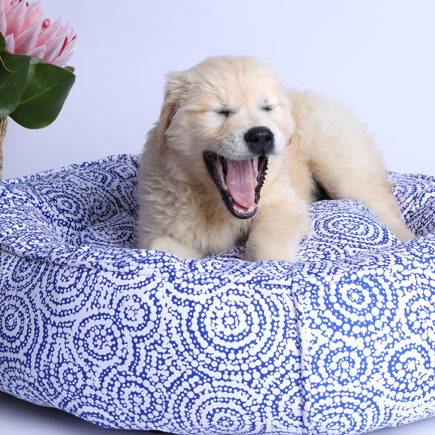 Round Therapeutic Dog Bed - Ngama