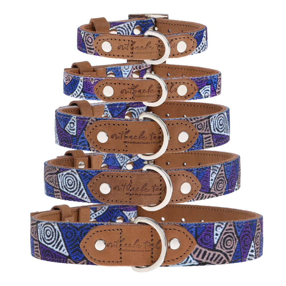 Leather Dog Collar - Salt Lakes