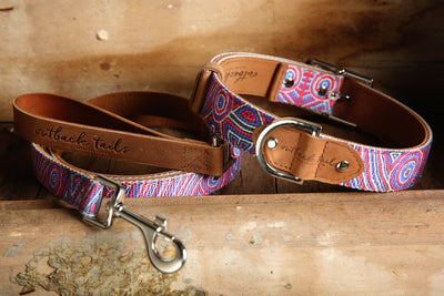 Leather Dog Collar - Digging For Truffles