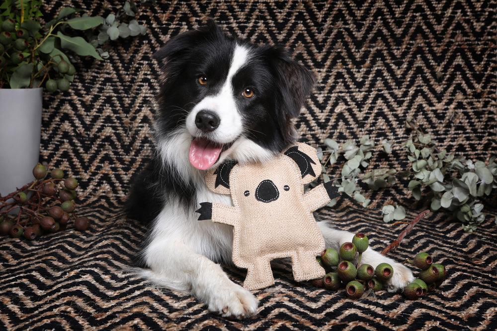 Outback Animal Toy - Kevin the Koala