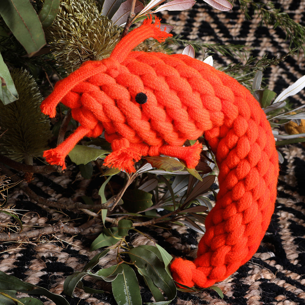 Outback Animal Toy - Pam The Prawn