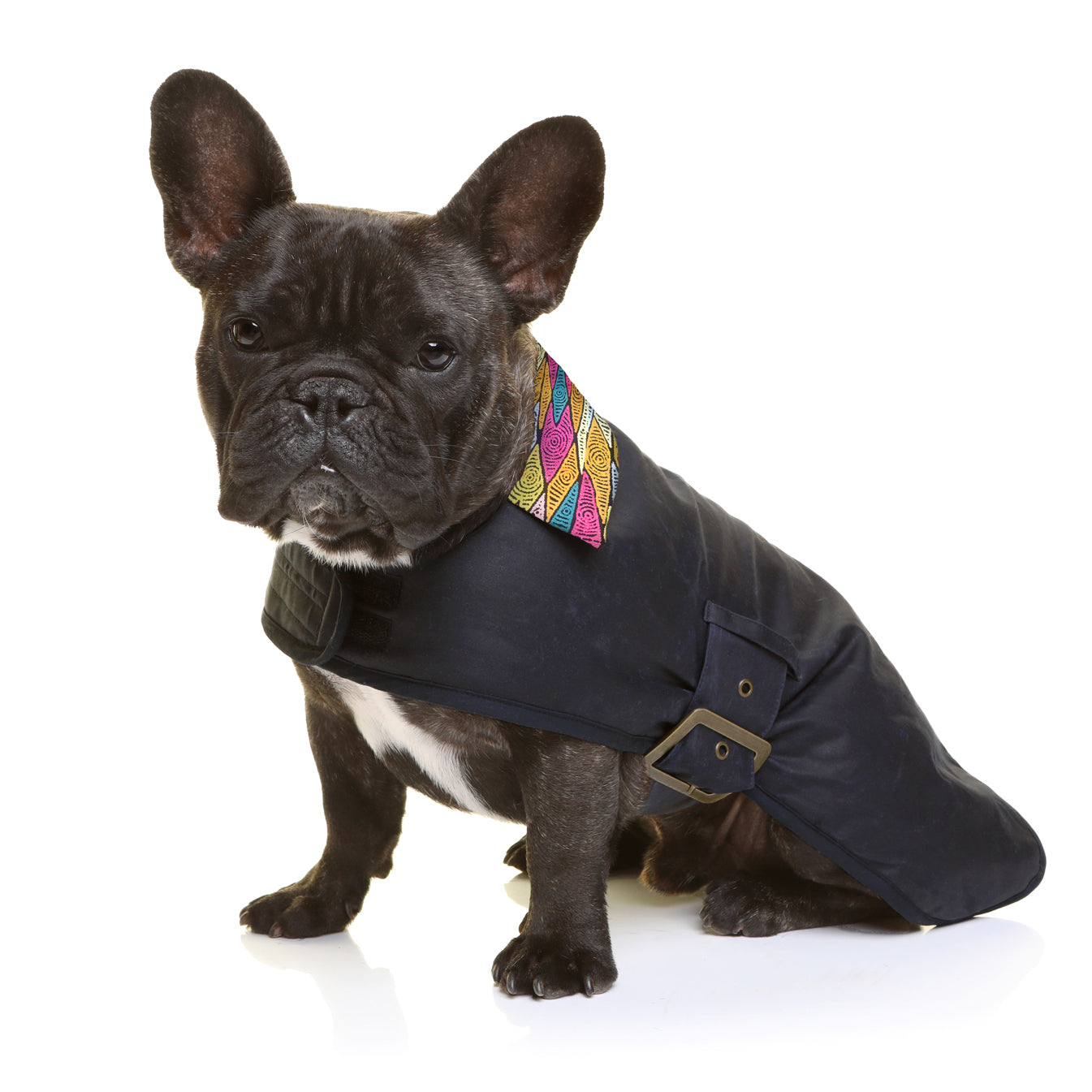 Oilskin Dog Coat Sand Dunes Small Size only Outback Tails
