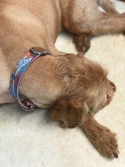 Leather Dog Collar - Sand Dunes